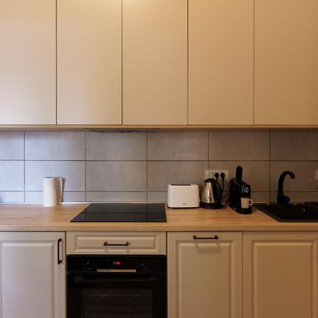 Victoriei Square Apartment Timisoara Bagian luar foto